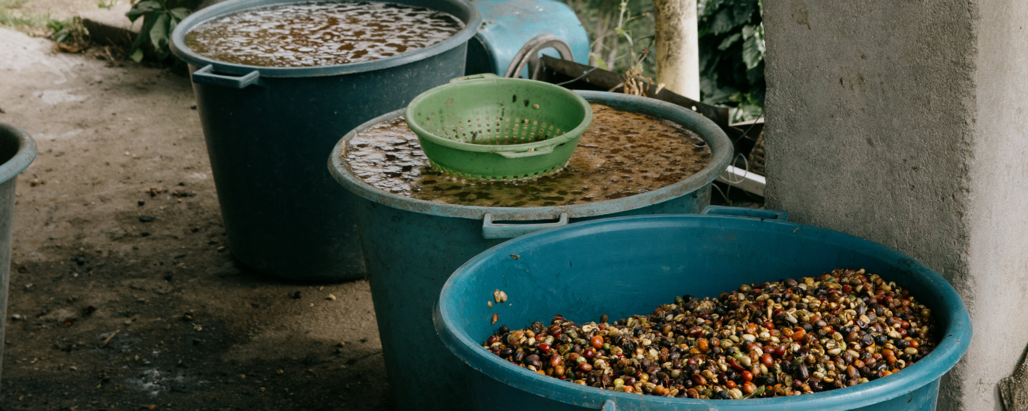 Trato directo: Colombia