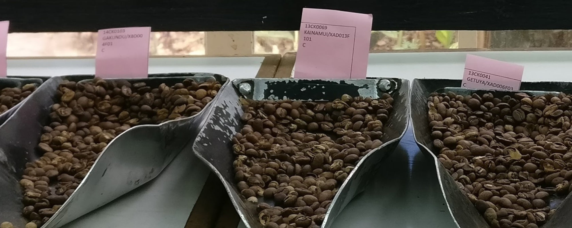 Trato directo: Kenia