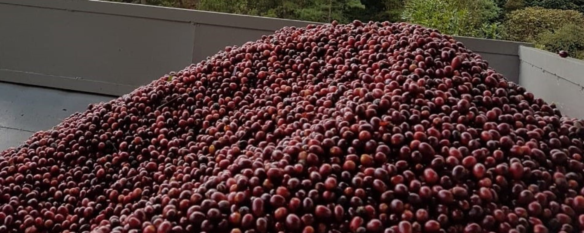 Nicaragua, una experiencia única