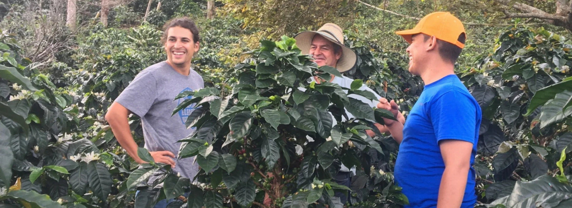 Viaje a origen Colombia