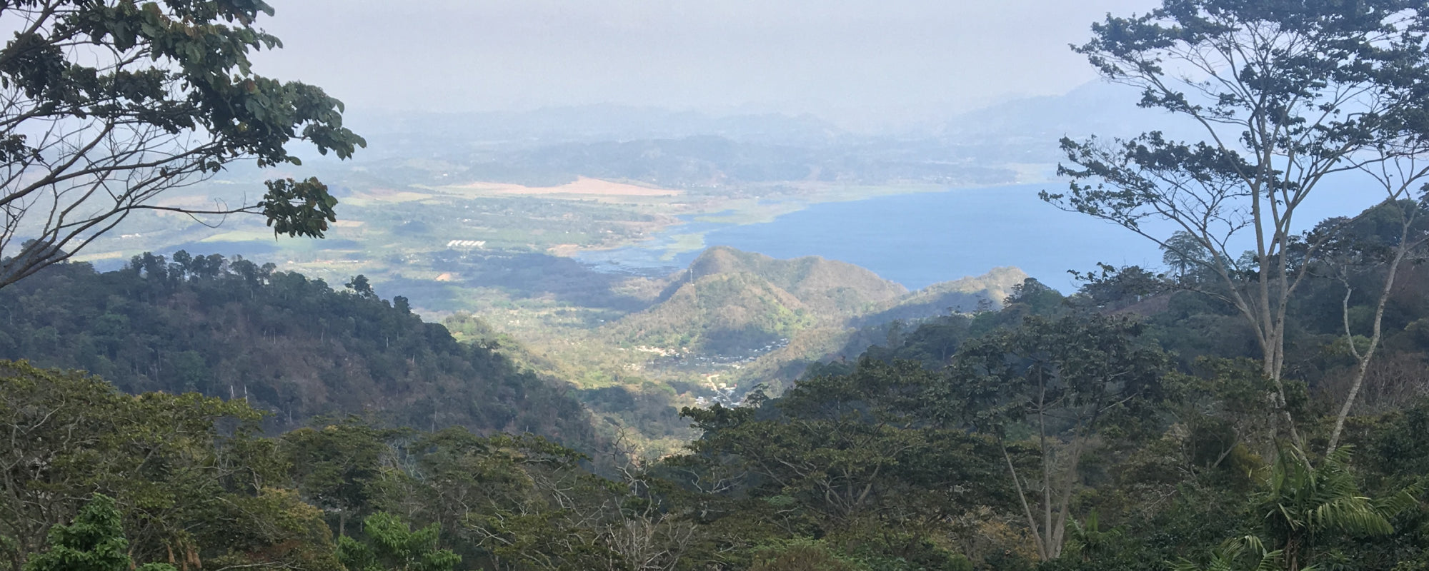 Trato directo: Honduras