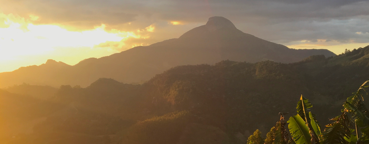 Viaje a origen: Brasil 2022