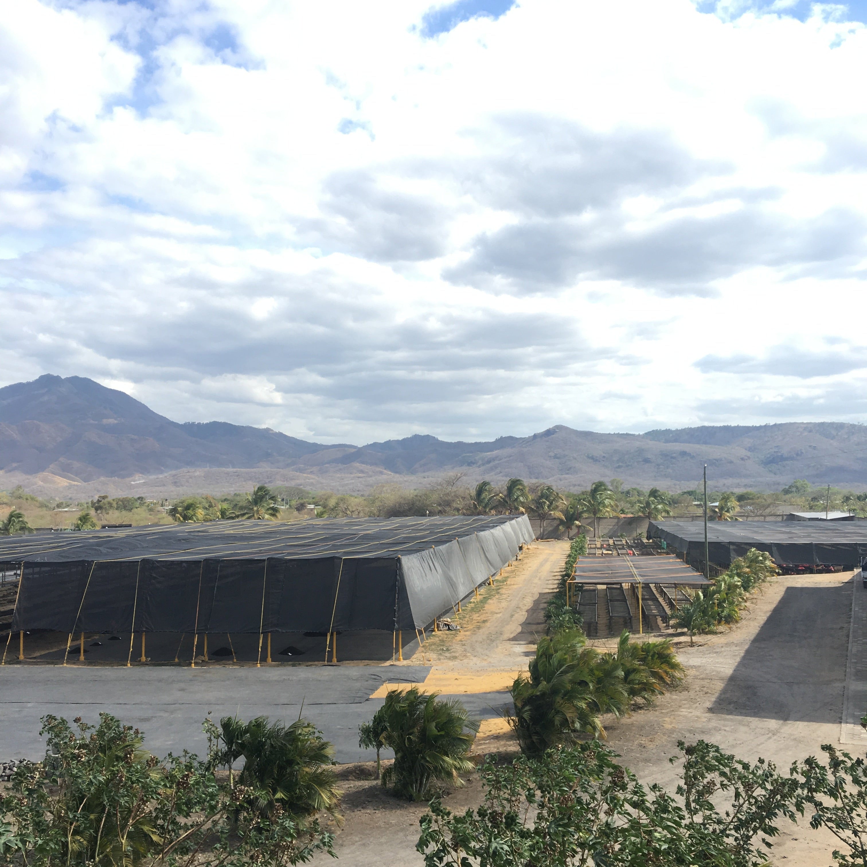 Finca Un regalo de Dios