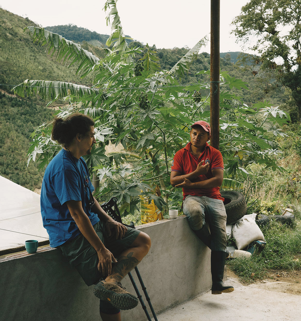 Finca Hermanos Contreras Huila Colombia